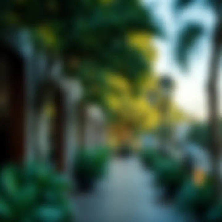 Lush greenery surrounding Blue Bay Walk