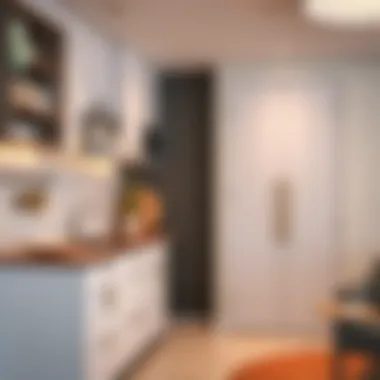 Modern kitchen design in a 1BHK