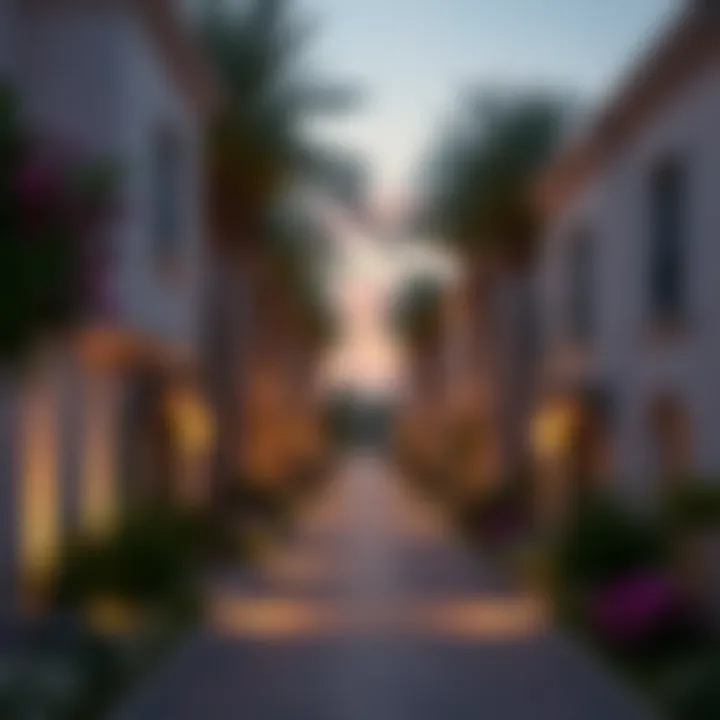 Charming neighborhood in Dubai for couples