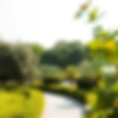 Lush Greenery at Al Jaddah Park Lush greenery enveloping a serene walking path