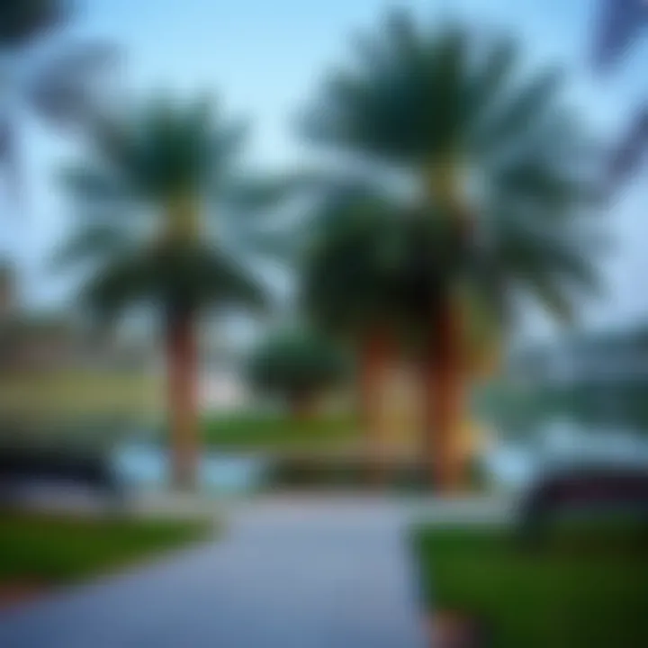 Serene lake surrounded by palm trees and benches