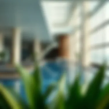 Lifestyle Amenities at Avanti Tower Amenities offered in Avanti Tower including pool and fitness center