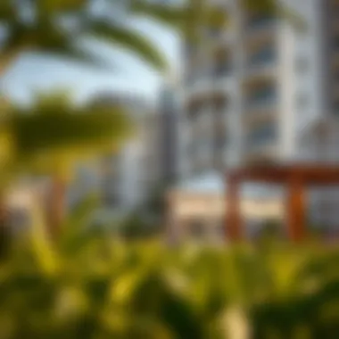 Community Amenities Near Binghatti Apartments Community amenities surrounding Binghatti Apartments, emphasizing lifestyle features