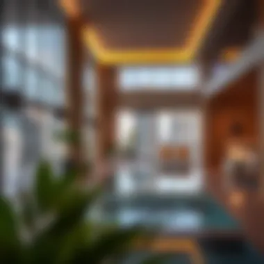 Luxury Amenities Offered in Damac Heights Luxury amenities in Damac Heights