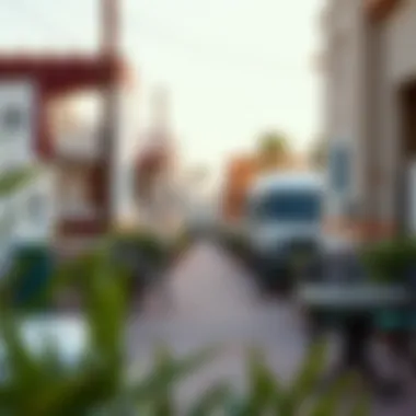 Vibrant Neighborhood of Rashidiya Vibrant neighborhood of Rashidiya