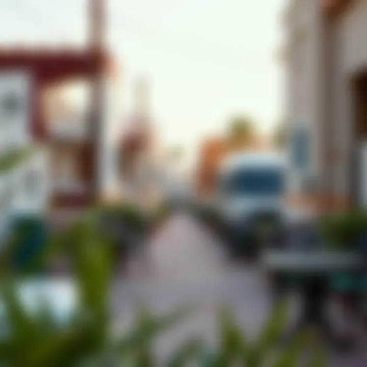 Vibrant Neighborhood of Rashidiya Vibrant neighborhood of Rashidiya