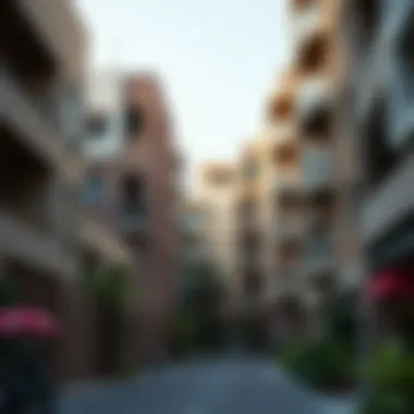 Neighborhoods of Dubai Vibrant neighborhood view in Dubai