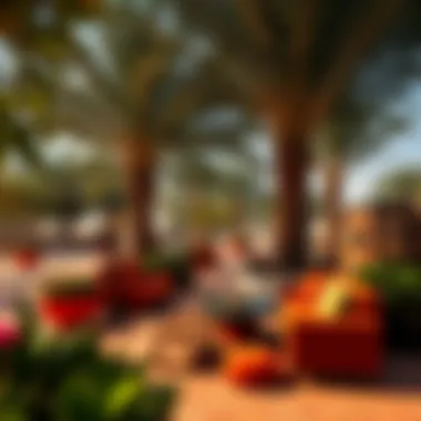 Vibrant community spaces and parks within Nest Aljada