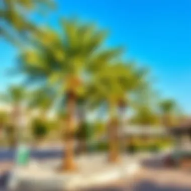 Community Park in Al Khail Gate A vibrant community park in Al Khail Gate