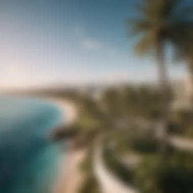 Breathtaking View of The Palm Panoramic view of the vibrant surroundings and waterfront of The Palm
