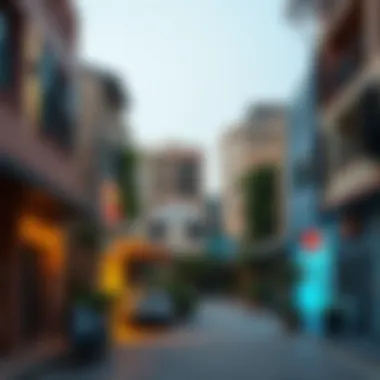 Local Neighborhood Amenities Vibrant neighborhood in Dubai highlighting local amenities