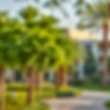 Community park in International City with lush greenery