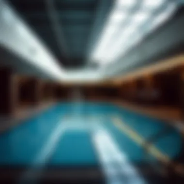 Exclusive Amenities at M Tower Amenities in the M Tower including pool and gym