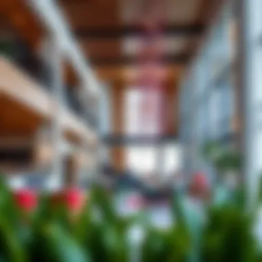 Vibrant community spaces within Hamilton Dubai promoting active lifestyles.