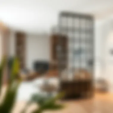 Flexible room divider in a multifunctional living area