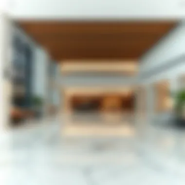 Amenities area within Princess Tower design