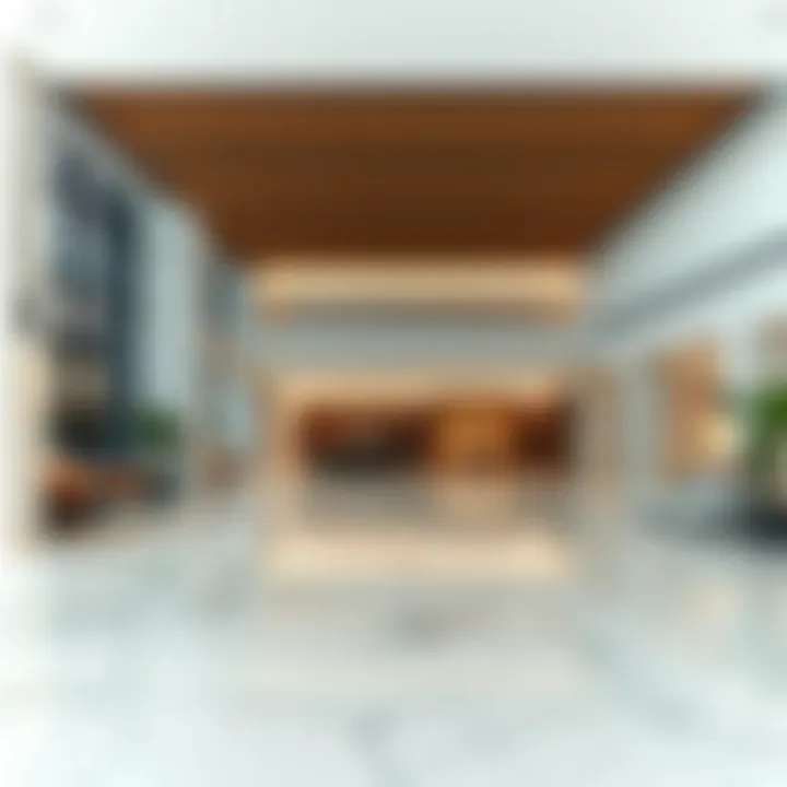 Amenities area within Princess Tower design