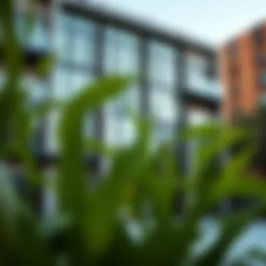 Architectural Elegance of Q Gardens Lofts A stunning exterior view of Q Gardens Lofts showcasing modern architecture