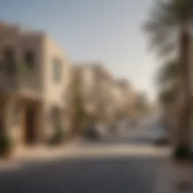 A picturesque neighborhood reflecting the lifestyle of Dubai residents