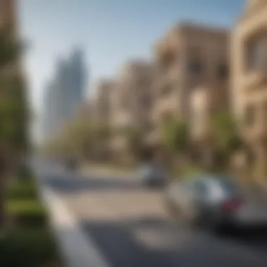 Residential Neighborhood in Dubai A vibrant neighborhood in Dubai with residential buildings